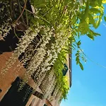 La Bugneta Bed & Breakfast Pietrasanta