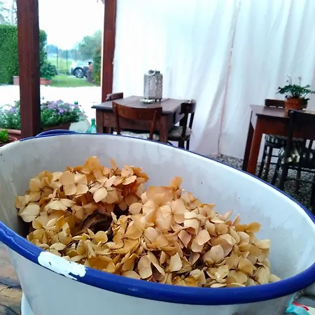 La Bugneta Pietrasanta