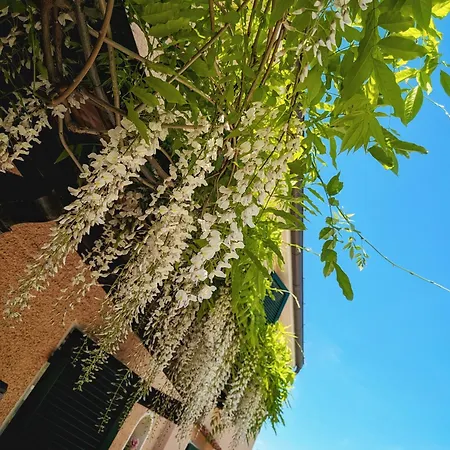 拉布涅塔住宿加早餐旅馆 住宿加早餐酒店 彼得拉桑塔