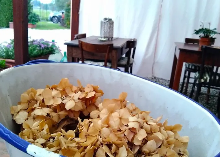 La Bugneta بيتراسانتا