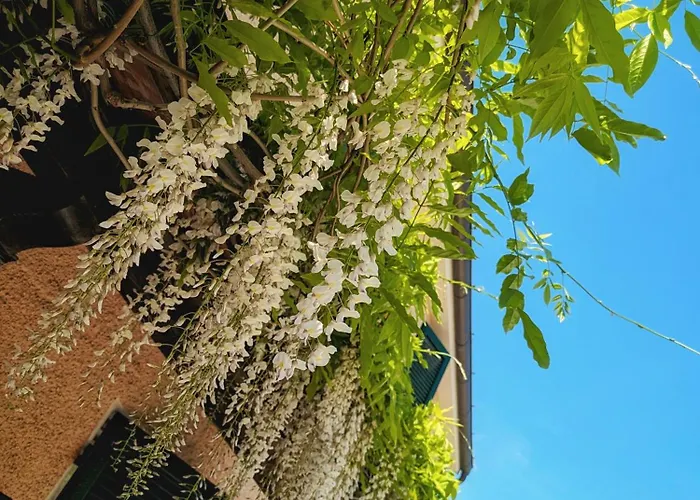 La Bugneta Alojamento de Acomodação e Pequeno-almoço Pietrasanta